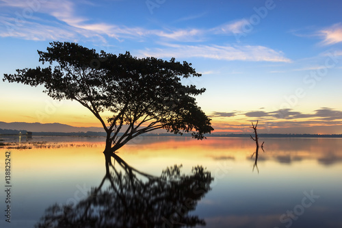 Alone alive tree is in the flood of lake at sunset scenery