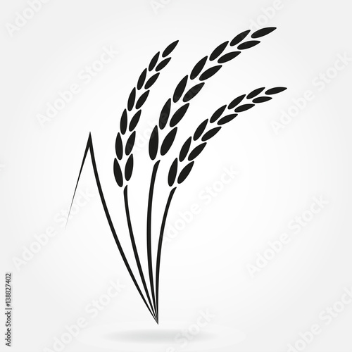 Rice. Crop symbol. Rice or Wheat ears design element. Agriculture grain. Vector illustration.