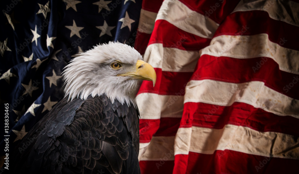 Obraz premium American Bald Eagle z flagą.