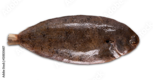 fish sole photo