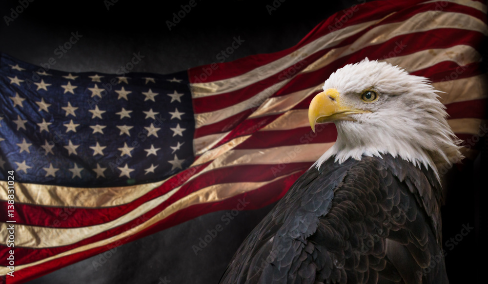 Obraz premium American Bald Eagle z flagą.