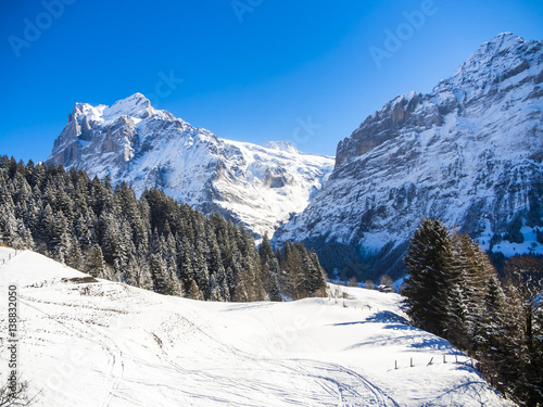 Schweiz, Kanton Bern, Berner Oberland, Interlaken-Oberhasli, Wetterhorn, Winterlandschaft  in Grindelwald bei Sonnenaufgang, hinten das Mittelhorn und Wetterhorn, photo