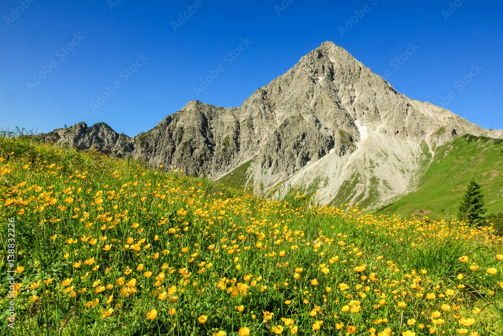 Hiking on flower meadow and steep mountain in spring