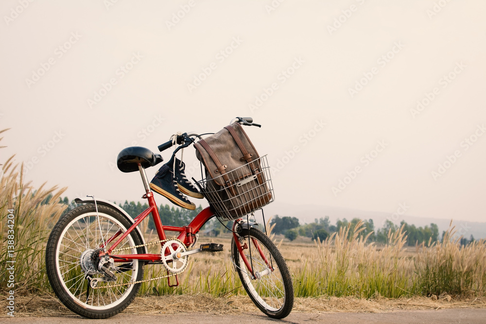 Vintage of bicycle on grass field, selective and soft focus