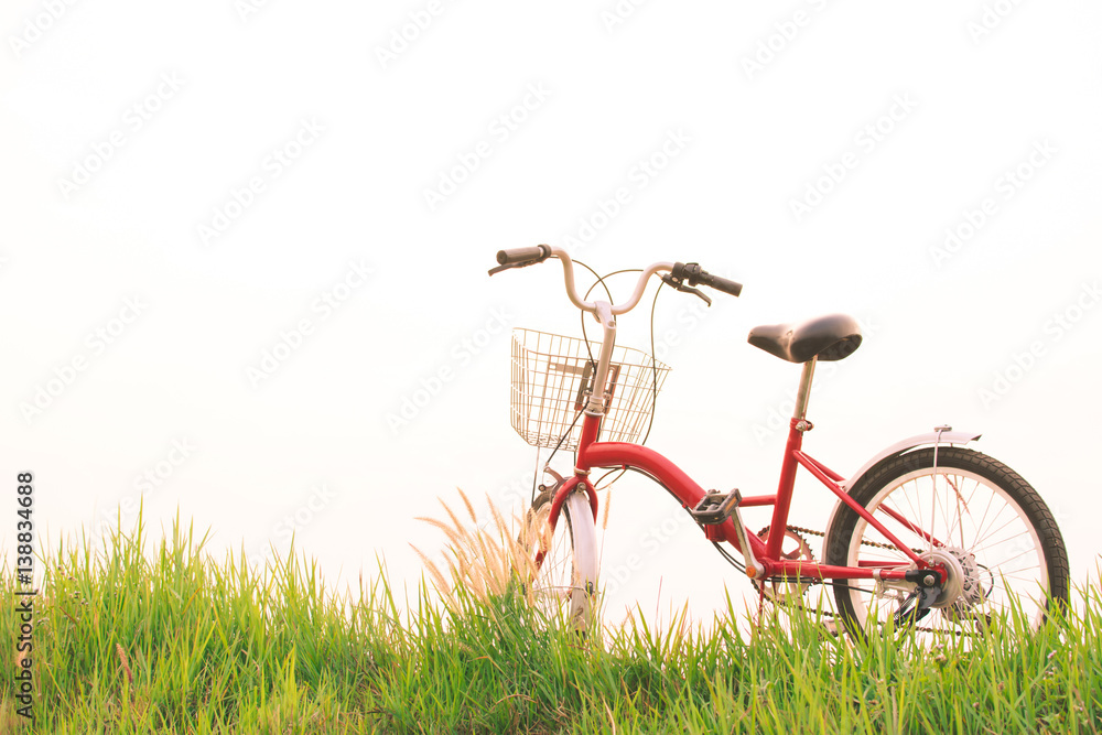 Naklejka premium Vintage of bicycle on grass field, selective and soft focus