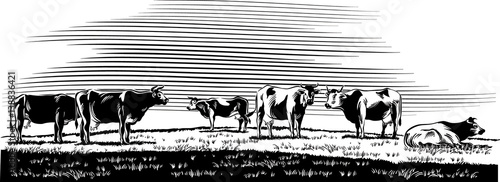Cows grazing in a meadow.