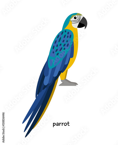 Parrot - unmatched sound simulator with beautiful plumage