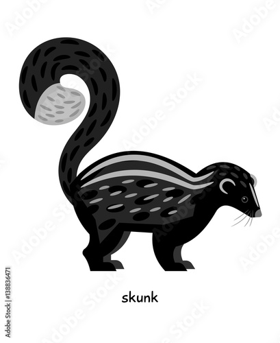 Skunk –rather clumsy animal on short legs.