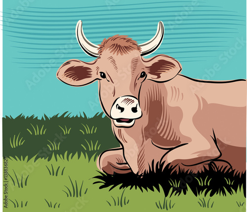 grazing cow, lying in a meadow while cud.