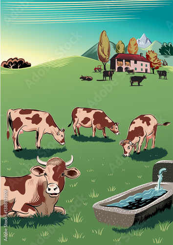Cows grazing in a meadow near a watering hole.