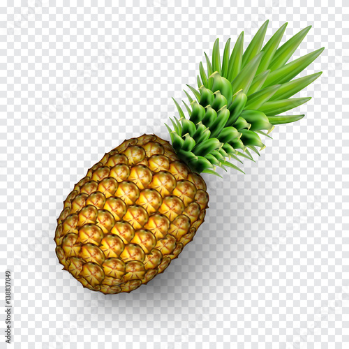 Pinaapple realistic image with transparent shadow vector illustration isolated on plaid white background