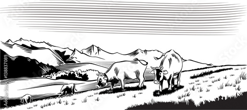 Obraz na płótnie Mountain agricultural landscape with cows in a meadow, intent to graze the grass. w salonie