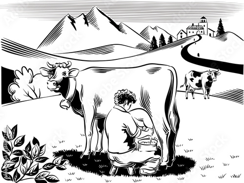Breeder intent to milk a cow on a mountain meadow.