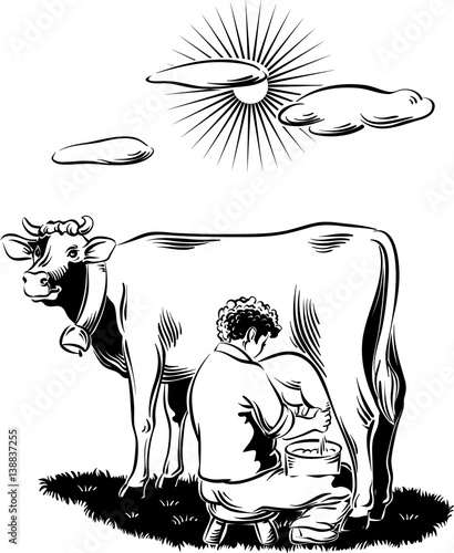 Breeder intent to milk a cow on a mountain meadow.