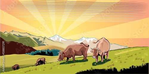 Mountain agricultural landscape with cows in a meadow, intent to graze the grass.