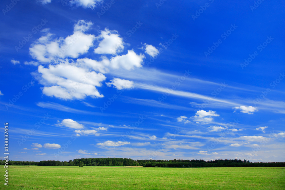 Grünes Wiese unter blauem Himmel im Frühling, Wind und Wolken