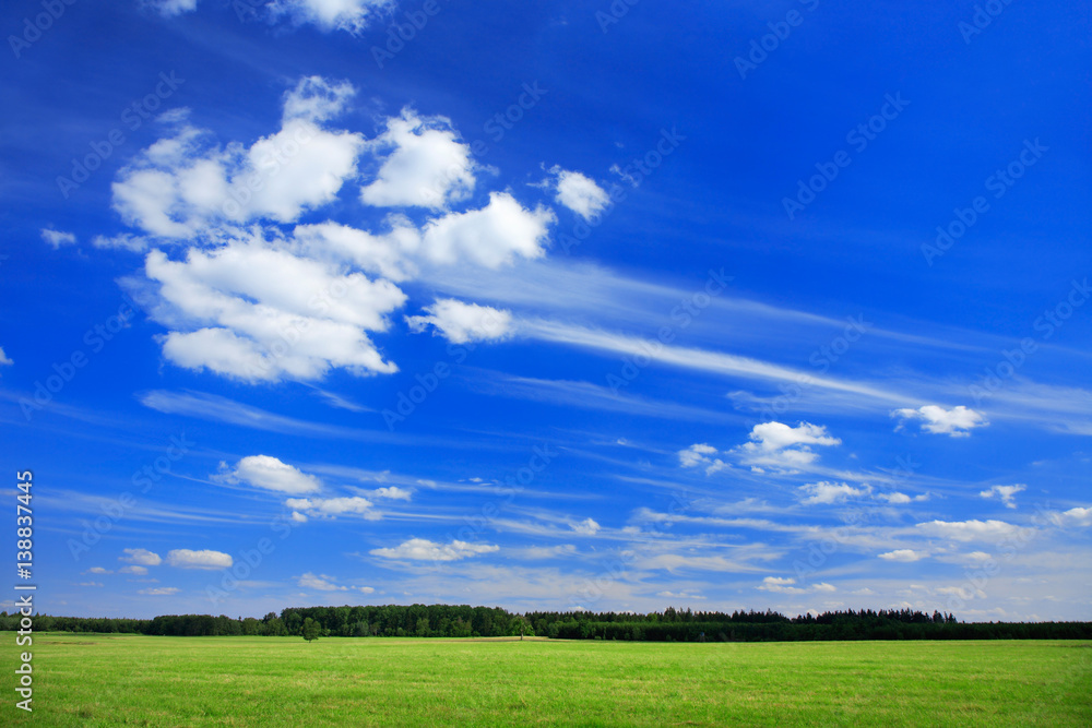 Grünes Wiese unter blauem Himmel im Frühling, Wind und Wolken Grünes Wiese unter blauem Himmel im Frühling, Wind und Wolken