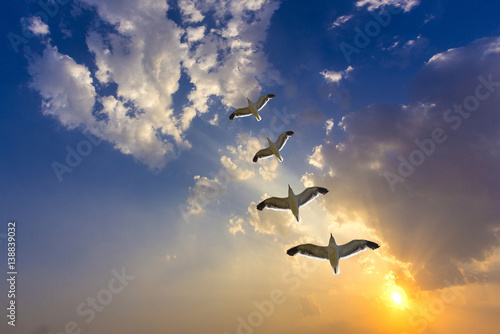 golden sunset with clouds and flock of birds