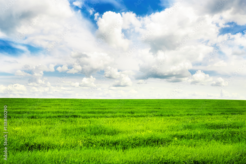 Green grass field and bright blue sky background Green grass field and bright blue sky background