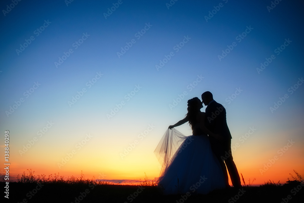 wedding couple in field. Bride and groom together.