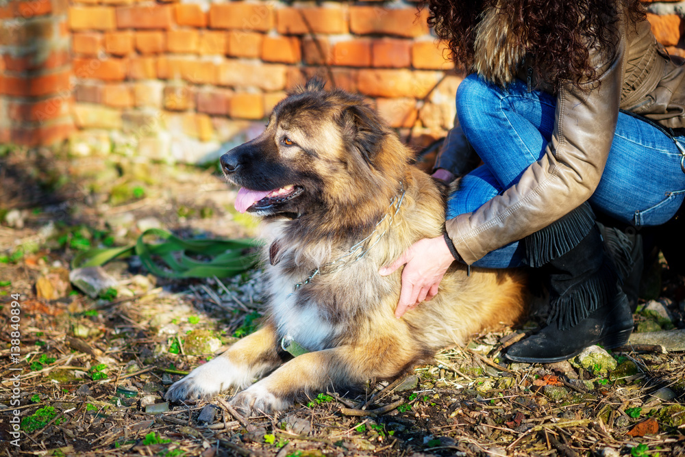 Girl playing with Caucasian shepherd dog, autumn