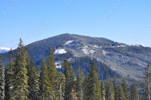 Picturesque view of Carpathian mountains over evergreen trees