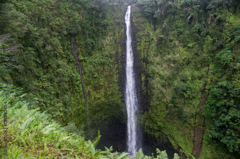 Akaka falls close to Hilo, Big Island, Hawaii, US