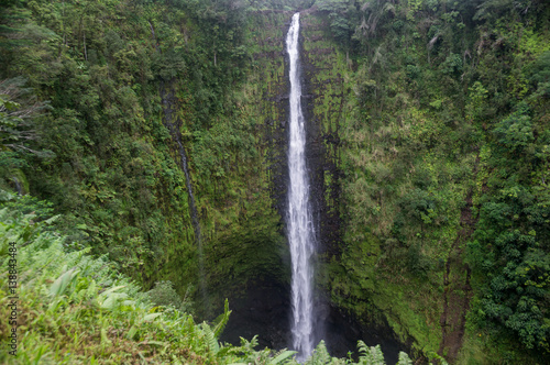 Akaka falls close to Hilo, Big Island, Hawaii, US © Julian Peters Photos