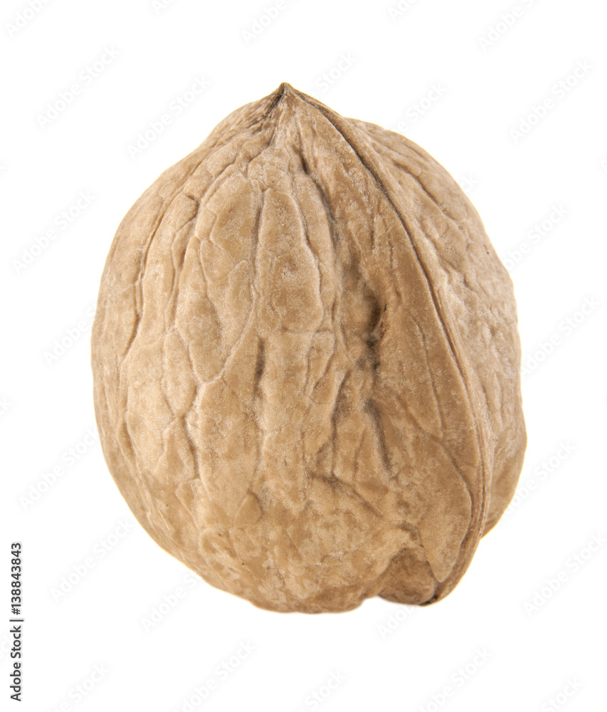 Walnut Walnut