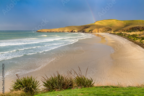 Neuseeland Oamaru Pinguin Strand