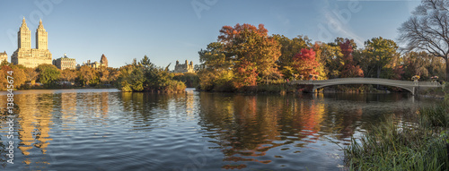 Bow bridge Central Park