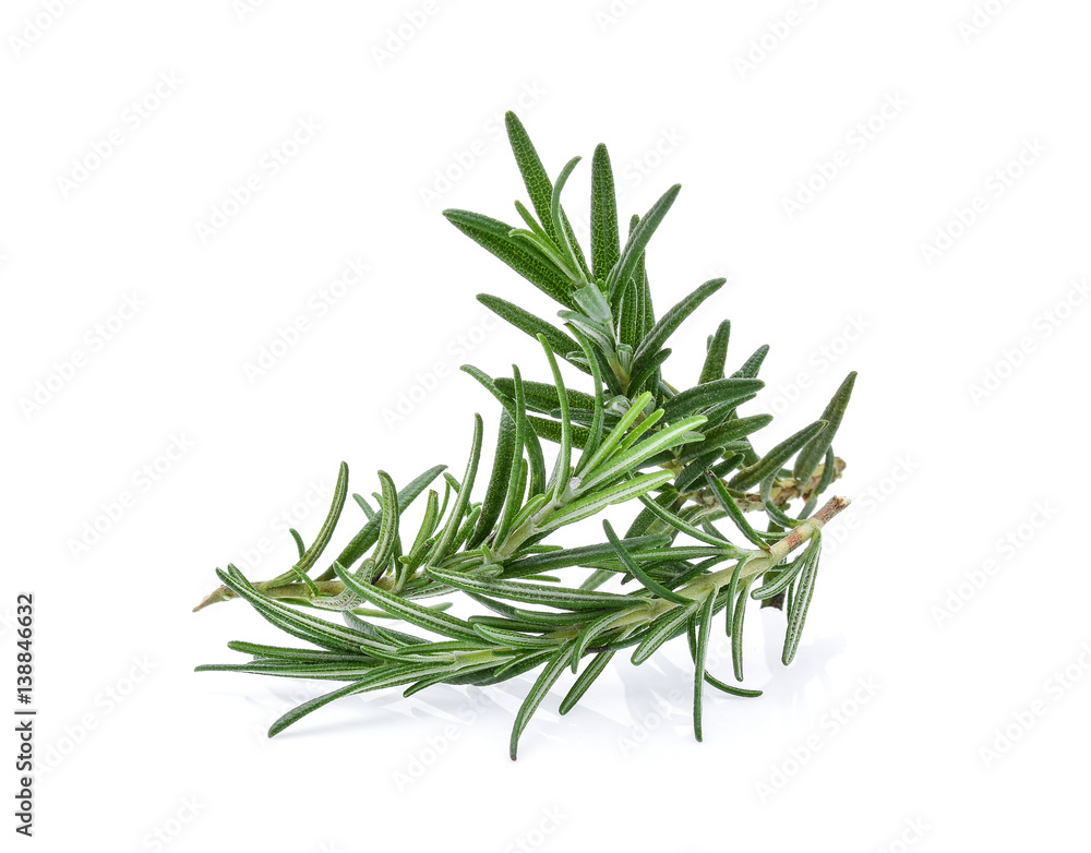 Fototapeta premium rosemary isolated on white background