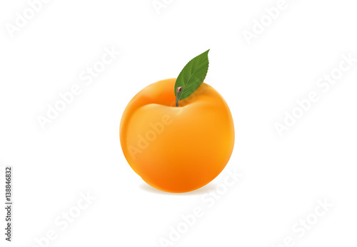 ripe apricot on a white background