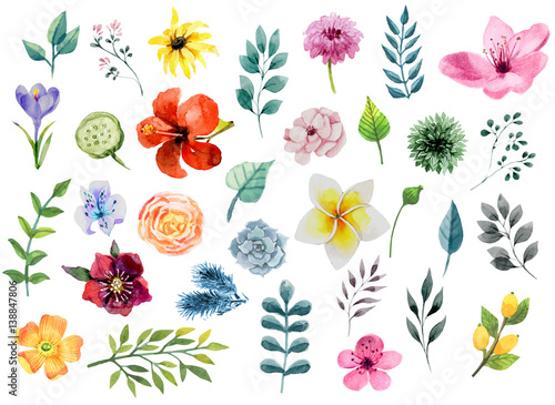 Watercolor floral elements set