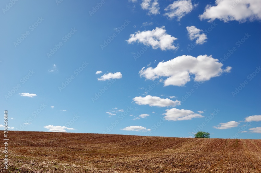 Empty field after finished harvesting with a single tree under cloudy blue sky
Empty field after finished harvesting with a single tree under cloudy blue sky