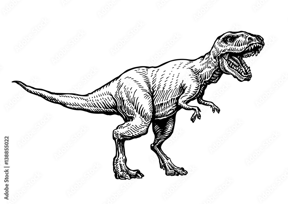 Angry tyrannosaurus rex with open huge mouth, sketch. Hand-drawn carnivorous dinosaur. Animal vector illustration Angry tyrannosaurus rex with open huge mouth, sketch. Hand-drawn carnivorous dinosaur. Animal vector illustration