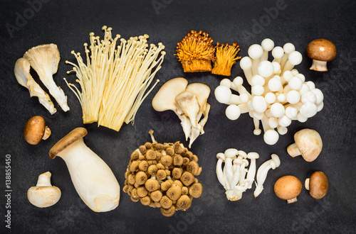 Top View of Different Mushrooms
