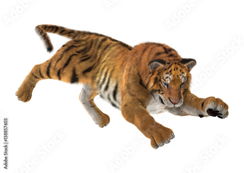 Fototapeta Naklejka Na Ścianę i Meble -  3D Rendering Big Cat Tiger on White