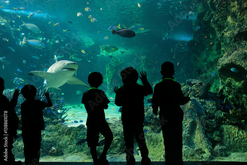 Sydney Acquarium