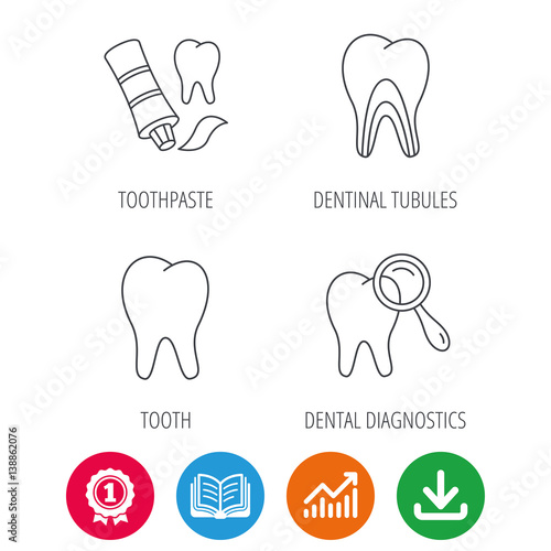 Tooth, dental diagnostics and toothpaste icons. Dentinal tubules linear sign. Award medal, growth chart and opened book web icons. Download arrow. Vector