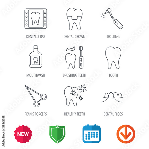 Stomatology, tooth and dental crown icons. X-ray, mouthwash and dental floss linear signs. Toothache, forceps icons. New tag, shield and calendar web icons. Download arrow. Vector