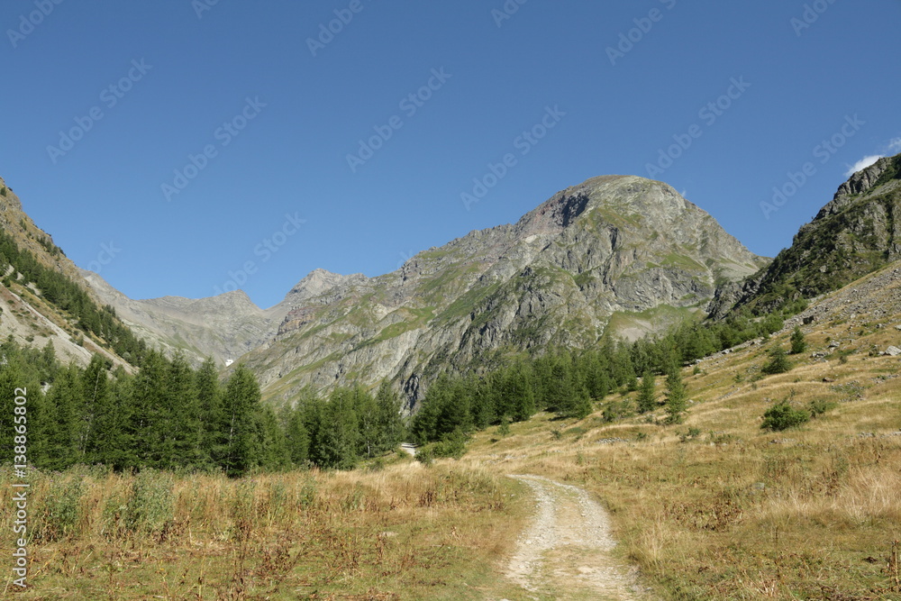 Sentier de randonnée dans le Champsaur, Alpes