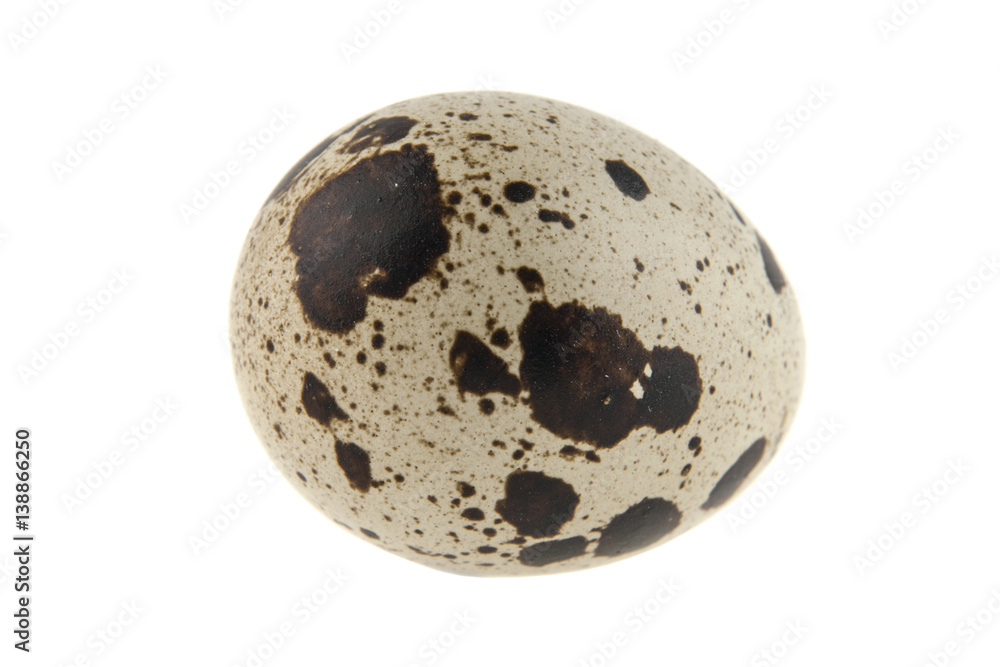quail egg isolated on white background quail egg isolated on white background