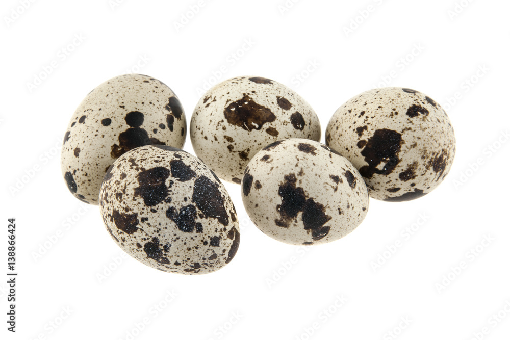 quail egg isolated on white background
