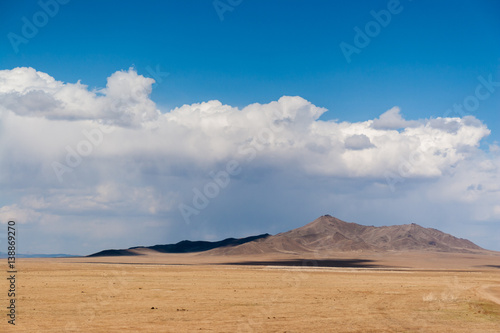 Mongolian wild steppe