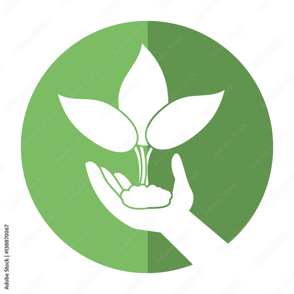 hand holding plant leaves shadow vector illustration eps 10 hand holding plant leaves shadow vector illustration eps 10