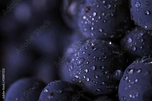 Close up, bunch of dark grapes with drops of water 