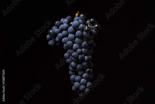 bunch of ripe dark grape isolated on black background