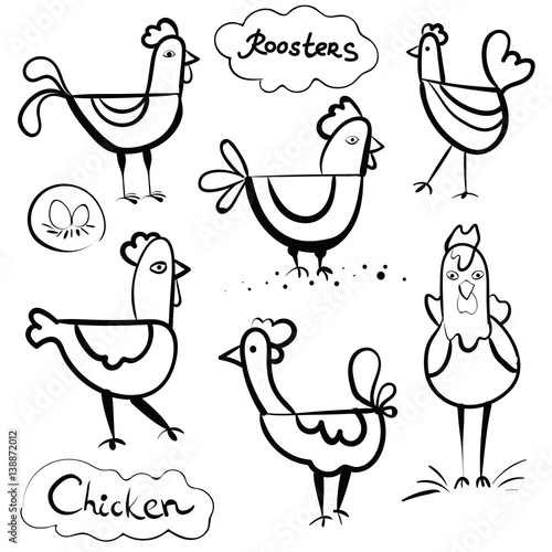 Set of a hand drawn roosters and chickens. Scetch illustration. Black outline on white background