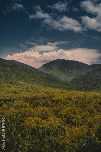 Smokey Mountains 